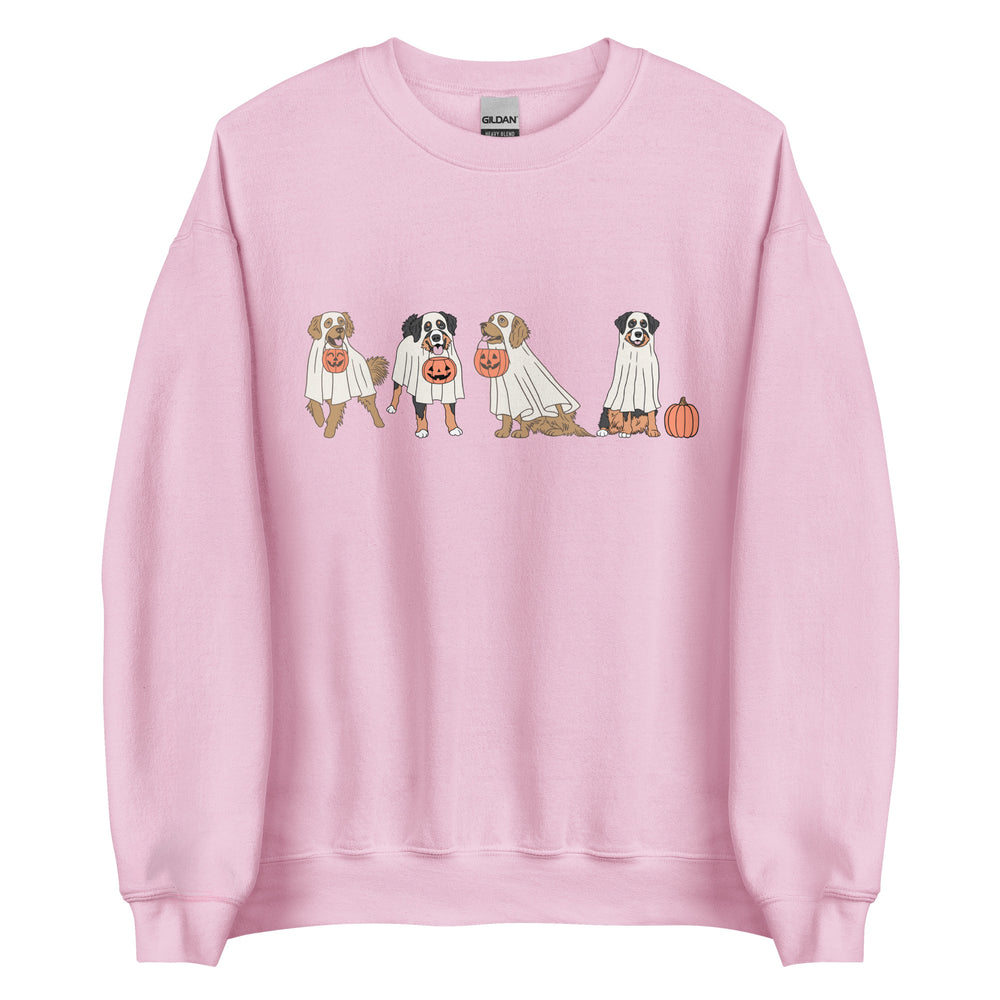 Trick or Treat Pups Sweatshirt