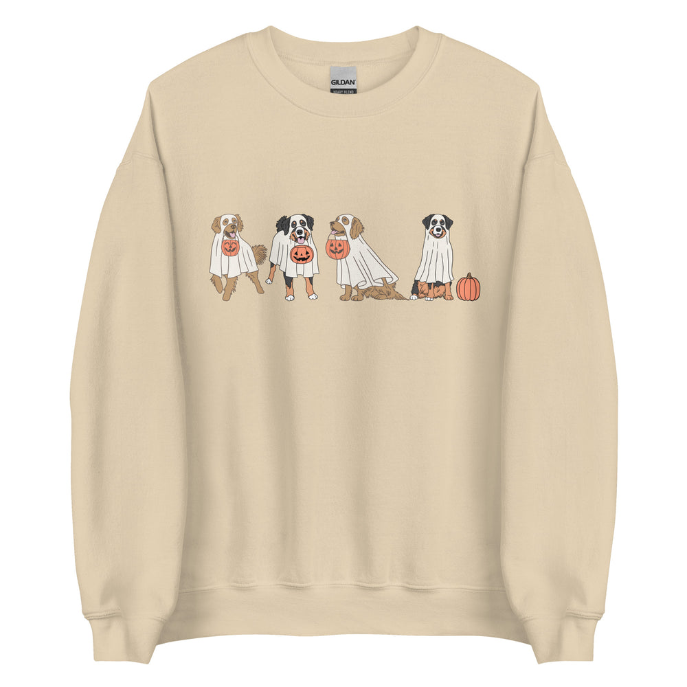 Trick or Treat Pups Sweatshirt